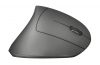 Trust Verto Wireless Ergonomic Mouse Black