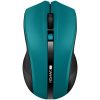 Canyon CNE-CMSW05G wireless mouse Green/Black