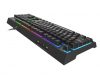 Natec Genesis Thor 210 RGB Gaming Keyboard US Black