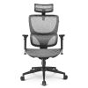 Sharkoon OfficePal C30M Gaming Chair Gray