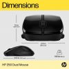 HP 250 Dual Wireless Mouse Black