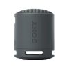 Sony SRSX-B100 Bluetooth Speaker Black