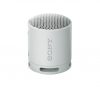 Sony SRSX-B100 Bluetooth Speaker Light Grey