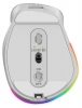 Genius Ergo 9000S Pro Wireless mouse Silver